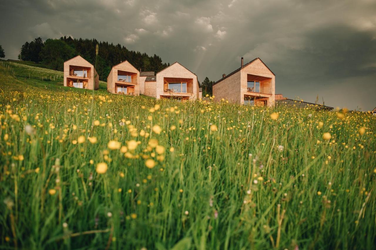 Peterhof Chalets Batschuns Exteriér fotografie